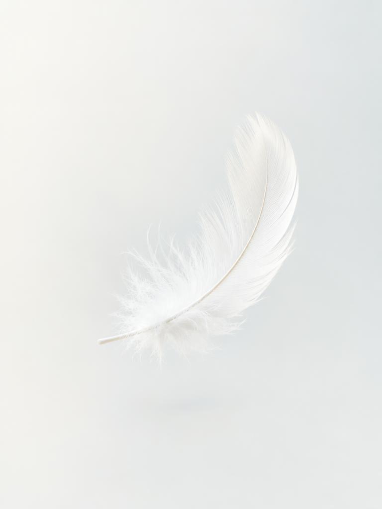 Feather